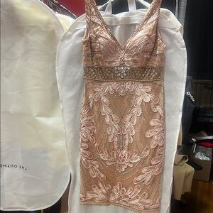 Sue Wong Tan and Pink Bodycon Mini Dress Plunge Neckline